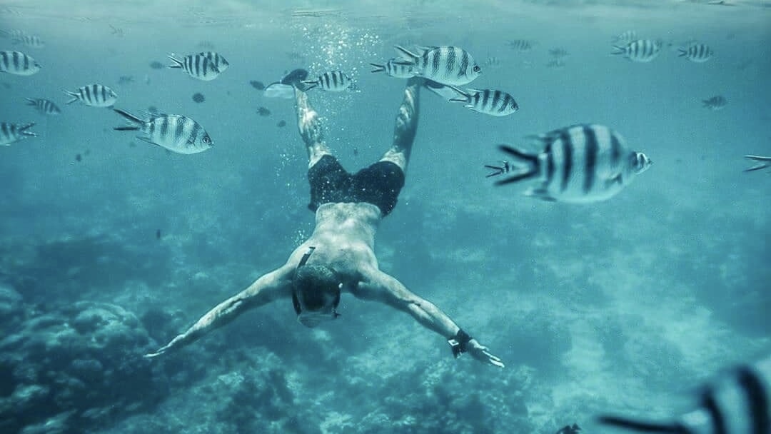 Zanzibar Beach and Safari